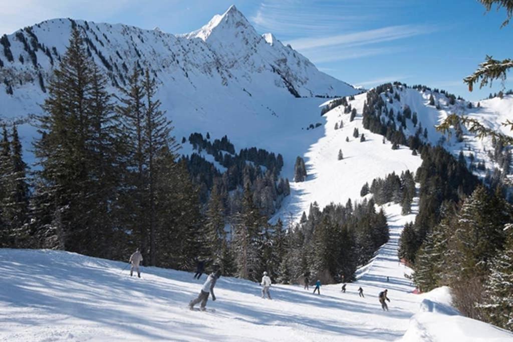 L'Enchalpe, Grand Et Lumineux Studio Avec Coin Montagne 5 Personnes, 60M Des Pistes, Piscine Couverte, Wifi, Grand Balcon Expo Est, Draps Non Compris Saint-Jean-dʼAulps エクステリア 写真