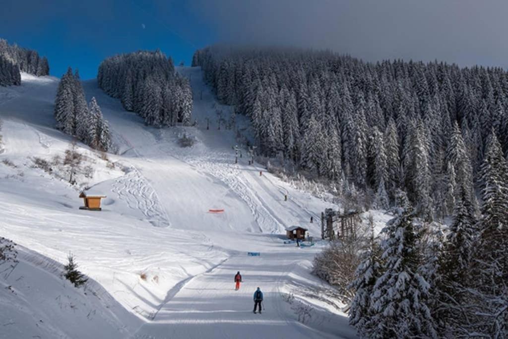 L'Enchalpe, Grand Et Lumineux Studio Avec Coin Montagne 5 Personnes, 60M Des Pistes, Piscine Couverte, Wifi, Grand Balcon Expo Est, Draps Non Compris Saint-Jean-dʼAulps エクステリア 写真